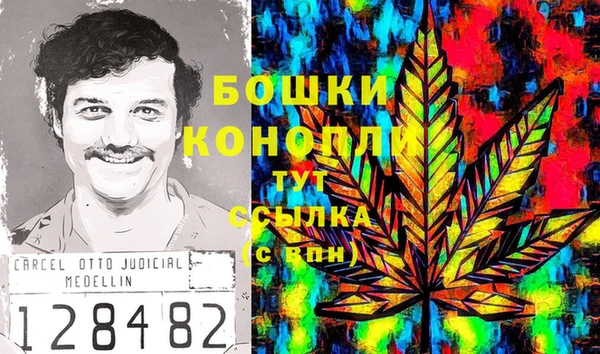 дурь Белокуриха