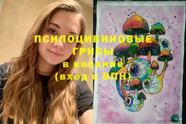 дурь Белокуриха