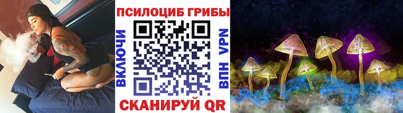 Купить  Облучье  Псилоцибиновые грибы прущие грибы 